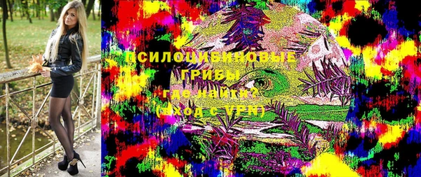 хмурый Няндома