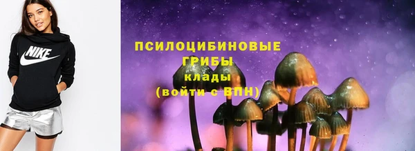 PSILOCYBIN Аркадак