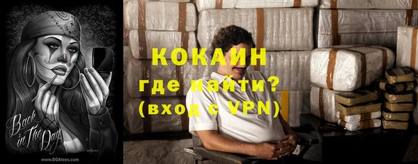 PSILOCYBIN Аркадак
